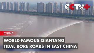 Tidal Bore Forms in East Chinas Qiantang River under Influence of Typhoons [upl. by Ralat]