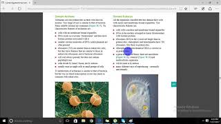 A level BiologyClassification and Taxonomy [upl. by Arikahc]