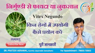 Nirgundi ke fayde  Vitex negundo  निर्गुण्डी के फायदे  बीज सम्हालू  Dr Prateek Agrawal 325 [upl. by Nitsew]