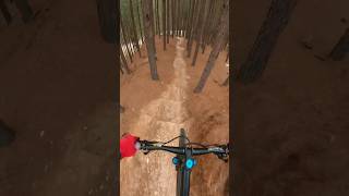 Knysna MTB Trails  GoPro Hero 7 Black [upl. by Rodie265]