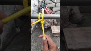 Rope Knot Skills shorts youtubeshorts knots tieknot [upl. by Ynittirb]