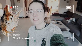 OWLs MAGICAL READATHON VLOG WEEK 1  Buddy Reads Twitter amp Office Tour  the wild Sasha [upl. by Namar389]