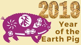 2019 Year of the Earth Pig Predictions for All Signs [upl. by Ahselet901]