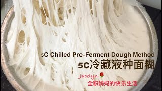 波兰种 液种 详细做法解释 Chilled PreFerment Dough Method [upl. by Acilejna]