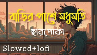 বাড়ির পাশে মধুমতি  Barir Pase Mudhumoti SlowedLofi  jisan khan Shuvo  Charpoka Band  song [upl. by Irrok]