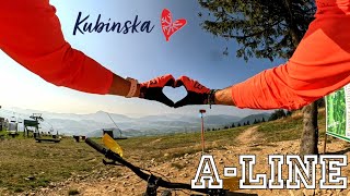 Aline Trail  Bikepark Kubínska ❤️ Difficulty Medium Lenght 19 km [upl. by Shimkus]