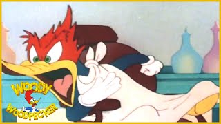 Woody Woodpecker  The Barber of Seville 1944  Remastered  BFI Screening  Full Episodes [upl. by Lorne]