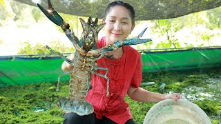 Catch Crayfish in my homeland for food  Crayfish cooking  Yummy Crayfish soup  Cooking with sros [upl. by Annaehr551]