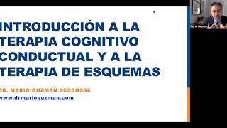 Introducción a la Terapia Cognitivo Conductual y a la Terapia de Esquemas [upl. by Ynohtnaed982]