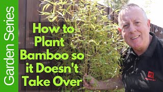 How to Plant Bamboo so it Doesnt Take Over Your Garden [upl. by Nalyk]