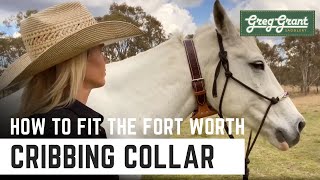 All You Need to Know About Cribbing Collars  Greg Grant Saddlery [upl. by Ebneter]