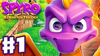 Spyro Reignited Trilogy  Spyro The Dragon  Gameplay Walkthrough Part 1  Artisans 120 [upl. by Roland]