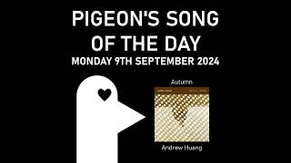 Autumn  Pigeons Song of the Day 09092024 [upl. by Sualokin]