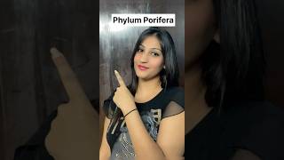 Phylum Porifera in 1 minute😨😳🔥 superfast series neet neet2025 shorts shortvideo short [upl. by Anirad921]