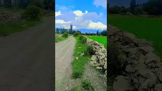 South Waziristan Shakai [upl. by Felecia]