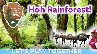 🌲 Hoh Rainforest Olympic National Park Washington State [upl. by Dhiren]