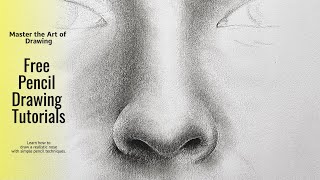 Free Pencil Drawing Tutorial How to Draw a Nose with Simple Tools [upl. by Gillett971]