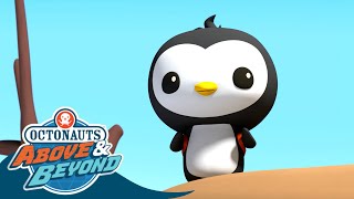 Octonauts Above amp Beyond  Pinto Saves the Day  The Curious Penguin  Octonauts [upl. by Hairehcaz]