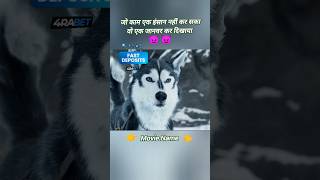 Hollywood movies explained in Hindi hollywoodmovieexplainedinhindi hollywoodmovie horrorstories [upl. by Favian]