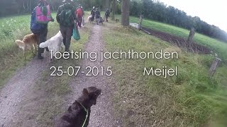 Toetsing jachthonden Meijel 2015 [upl. by Alysoun]