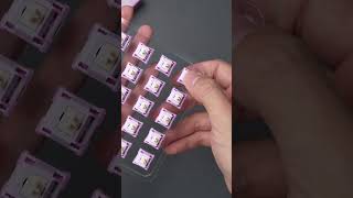 Akko V3 Creamy Purple Pro Switches Unboxing [upl. by Cohe]