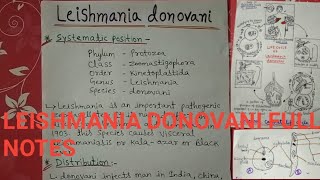 Leishmania donovani full notes [upl. by Helbona]