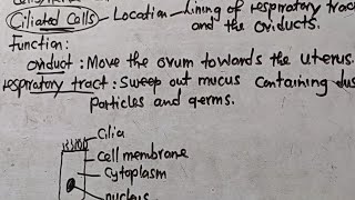 Ciliated Cells  Location Function and Adaptations  Well Explained  Harrison J Zulu Tutor [upl. by Kyte316]