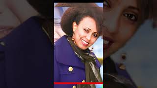 Abeba Desalegn Girma Mogese  Acoustic [upl. by Dahs]