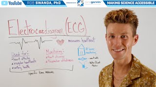 Overview of an Electrocardiogram ECG or EKG [upl. by Noiroc361]