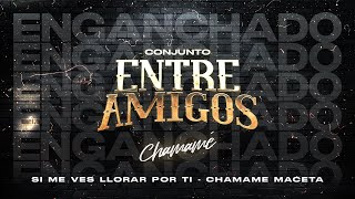 Entre Amigos  Zapala  Chamame enganchado  Si me ves llorar por ti  Instrumental [upl. by Anomahs330]