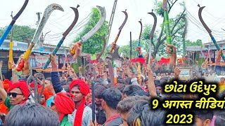 9 Adivasi Vishva Adivasi Divas Chhotaudepur Video 2024 Timli Dance  chhotaudepurgj34 [upl. by Dagall412]