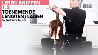 Leren Knippen 12 Toenemende Lengten  Lagen  Volume lagen  By Natasja Keijzer [upl. by Henrique]