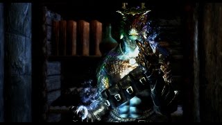 Skyrim  Argonian Mage Creation [upl. by Ailalue]