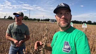 Secrets to Massive Soybean Yield Part 2 [upl. by Caresse439]