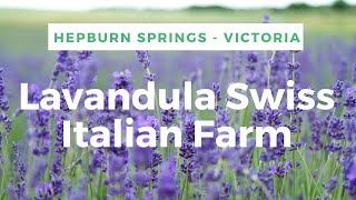 Lavandula Farm  Hepburn Springs Victoria [upl. by Lainahtan310]