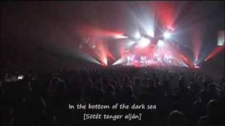 the GazettE  The Invisible Wall Live Eng and Hun [upl. by Citarella]