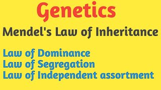 Genetics  Mendels Law of Inheritance  Pravin Bhosale [upl. by Innavoeg]