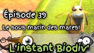 Ep39 Le sous marin des mares [upl. by Ailedo278]