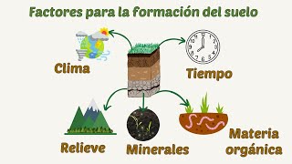 El suelo  componentes  características  perfil  tipos  formación y factores [upl. by Dearden980]