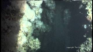 RMS Carpathia Wreck Diving Expedition 2007 [upl. by Liatnahs824]