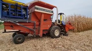 Raccogliere il mais e contemporaneamente seminare le cover crop si può fare [upl. by Brelje]