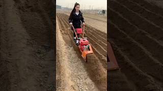 multifunctional garden tiller weeder cultivator plowing ditching rotary tillerfarming agriculture [upl. by Nehte845]