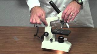 How to Use a Microscope [upl. by Sherrill]