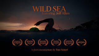 WILD SEA  Short Documentary [upl. by Idnas993]