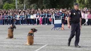 Jornada de puertas abiertas en la Escuela de Policía [upl. by Mutat]