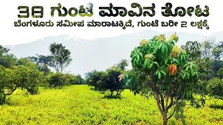 38 Gunta Mango Farm Land Sale in Channapatna Ramanagara Near Bengaluru Charan 7338474634 [upl. by Vlada186]