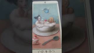 Impuls Wasserzeichen Verwendetes Kartendeck Nicoletta Ceccoli Tarot [upl. by Alemak]