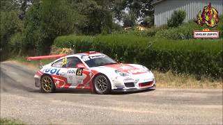 Rallye du rouergue 2018 best of du weekend [upl. by Maidy930]