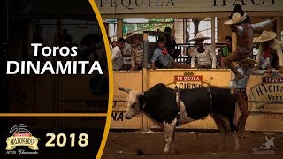 Puros TOROS DE REPARO  Campeonato Millonario THV 2018 [upl. by Ethe965]