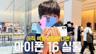 VLOG 솔직히 아이폰16 기본이 더 예쁨🍎  첫날 받은 아이폰16📱  아직도 아이폰16 색상 고민중이라면  애플 아이폰16 셀러브레이션 koreanvlog [upl. by Ploss]